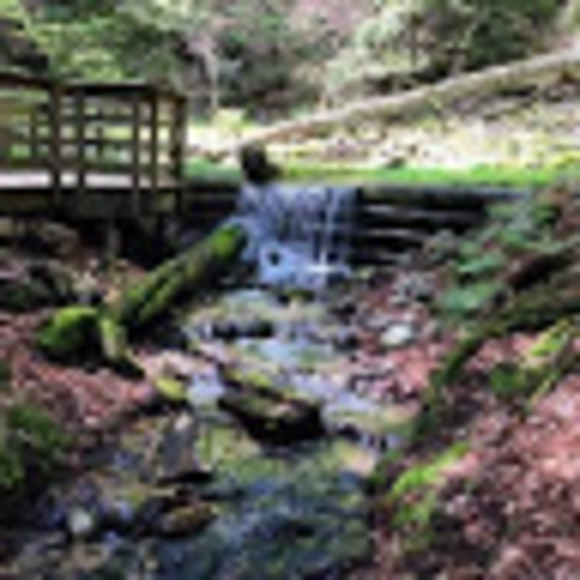 Meet your Posher, Geri - Picture 1 of 1